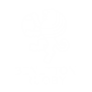 Benetton Rugby Logo